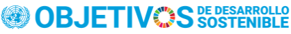 Logo Naciones Unidas - Objetivos de Desarrollo Sostenible